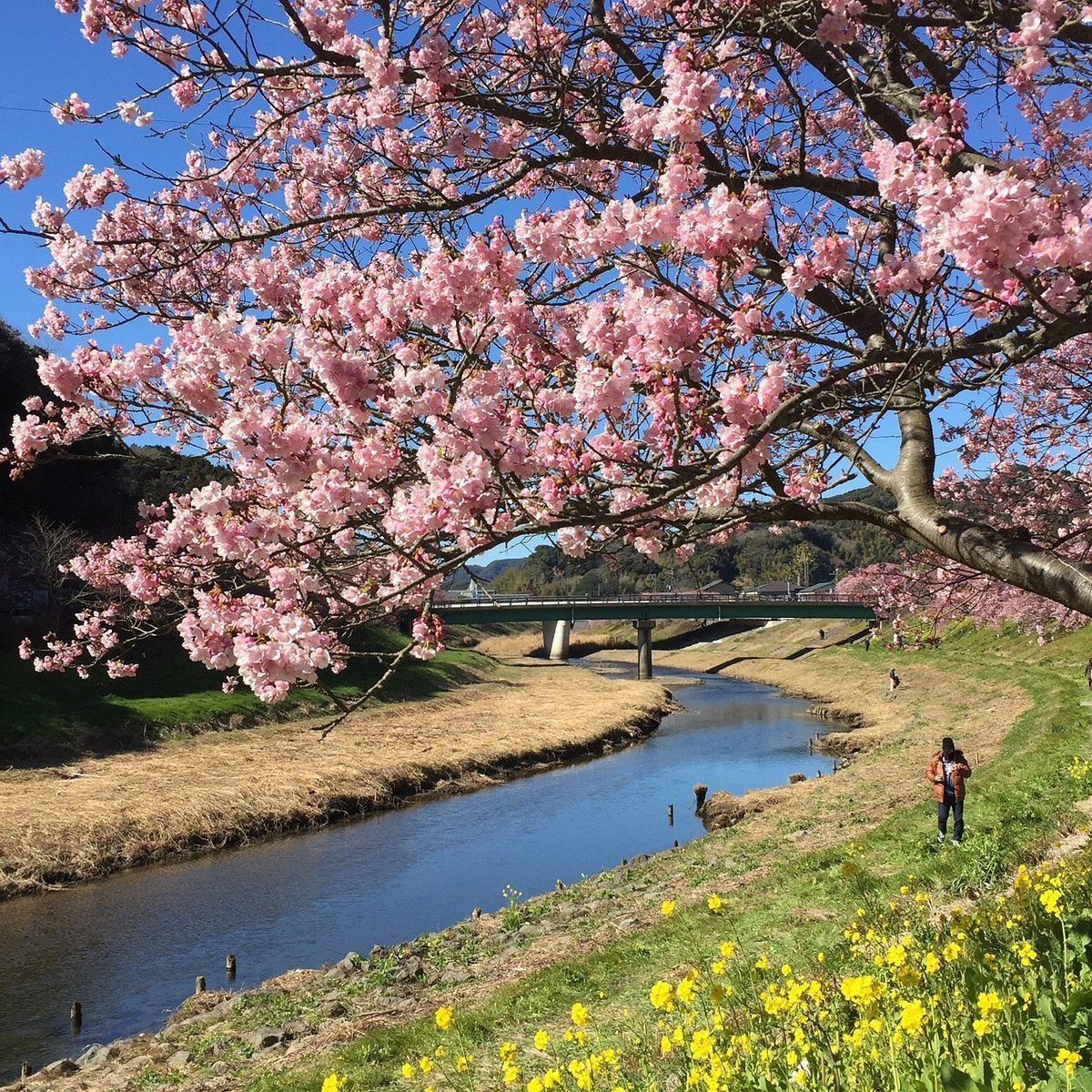 🏞️ 류호잔 자연공원 전망소 (류호잔 시젠코엔 텐보쇼) 이미지 7